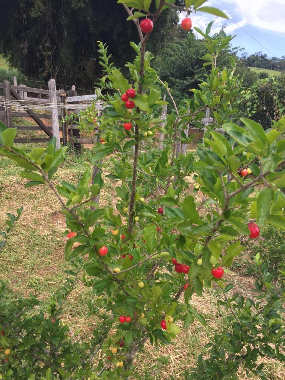 Pousada Água Limpa Virgínia Esterno foto
